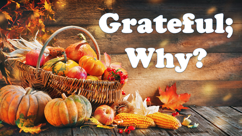 Grateful; Why?
